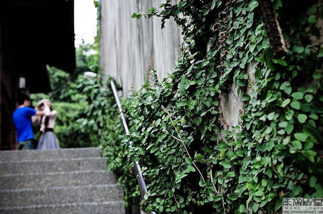 高雄遊拍-【Naturally 】 - 第14張圖 高雄遊拍-【Naturally 】