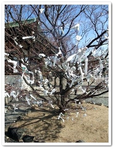 20251126-4k9bm 20251126-4k9bm