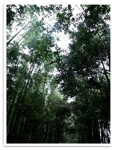 20251126-84ct9 20251126-84ct9