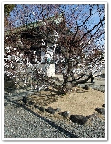 20251126-bjoy5 20251126-bjoy5