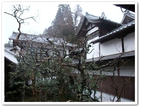 20251126-i169i 20251126-i169i