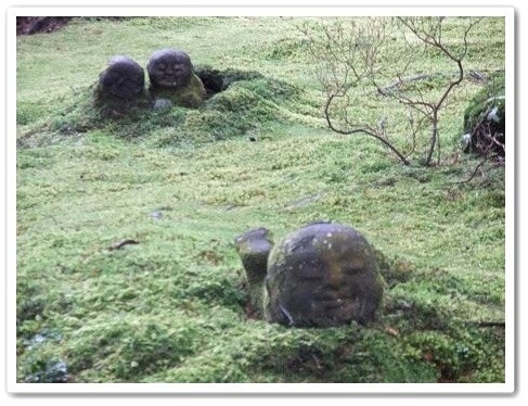 20251126-ohve6 20251126-ohve6