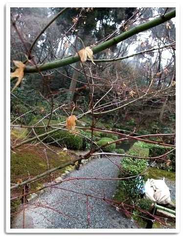 20251126-wm87a 20251126-wm87a