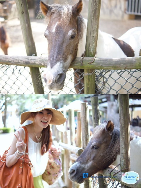 【遊記】六福村+六福水樂園。一整天都嗨翻了的玩樂行程❤