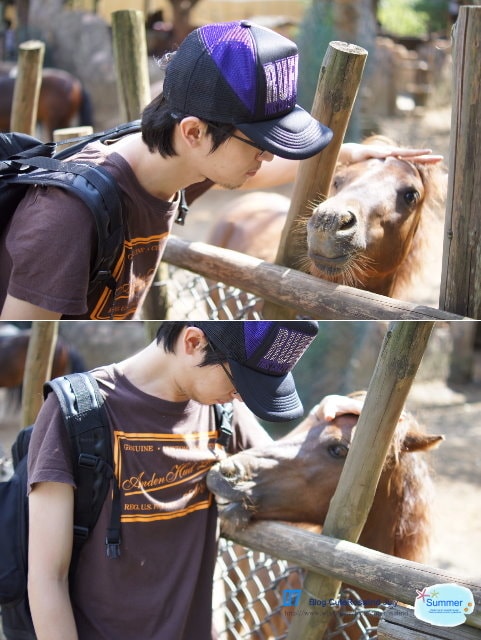 【遊記】六福村+六福水樂園。一整天都嗨翻了的玩樂行程❤