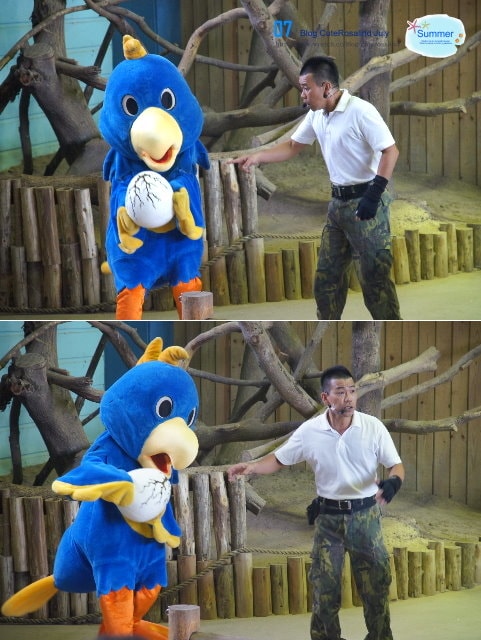 【遊記】六福村+六福水樂園。一整天都嗨翻了的玩樂行程❤