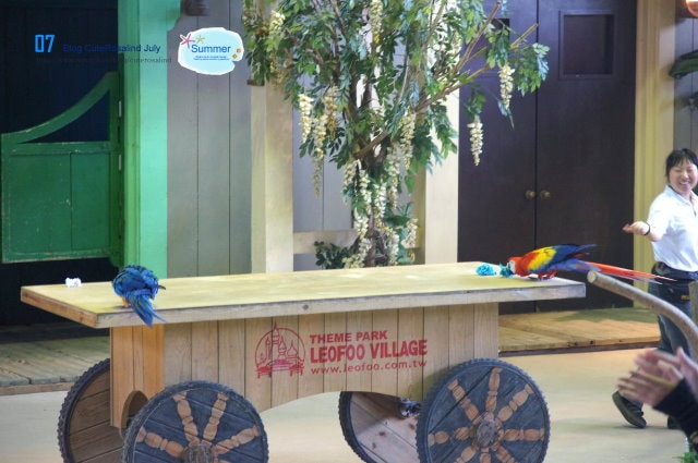 【遊記】六福村+六福水樂園。一整天都嗨翻了的玩樂行程❤