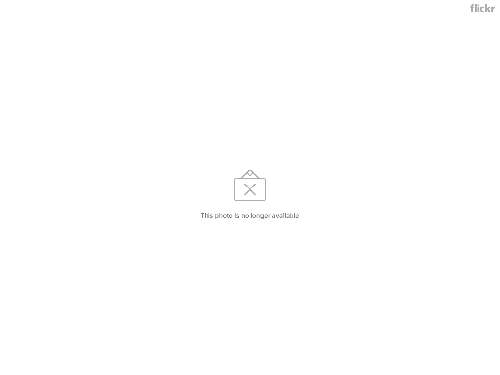 【髮型】秋冬奢華風的時尚區塊染。三色混搭的叛逆美感★