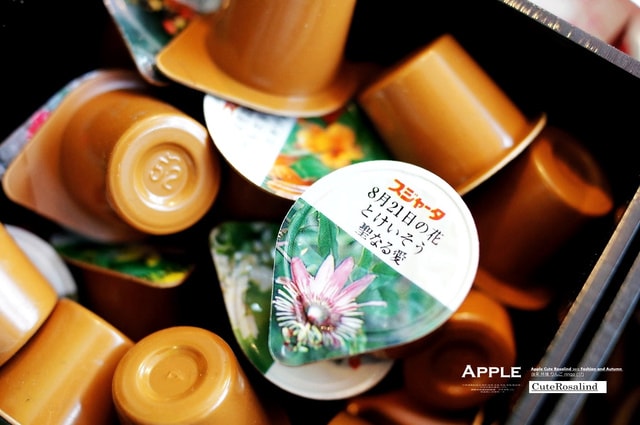 【活動】謝謝你們來捧場。精采熱鬧的二手拍花絮生出來啦♫