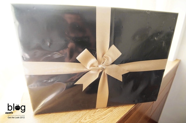 【購物】開箱!在REEBONZ買下了我人生中的第一個BALENCIAGA機車包♫