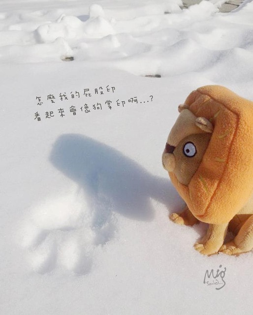 【飾品】愛上了鎖骨鍊的精緻。好有質感的方頭獅手作項鍊組合❤