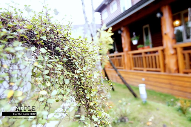 【旅遊。住宿】外拍。北方札特木屋建築愜意第二天小記錄❤