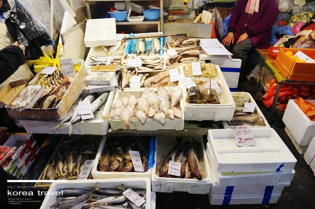 【旅遊】韓國遊記DAY3(下). 廣藏市場、Mr.Pizza、弘大繼續廝殺❤