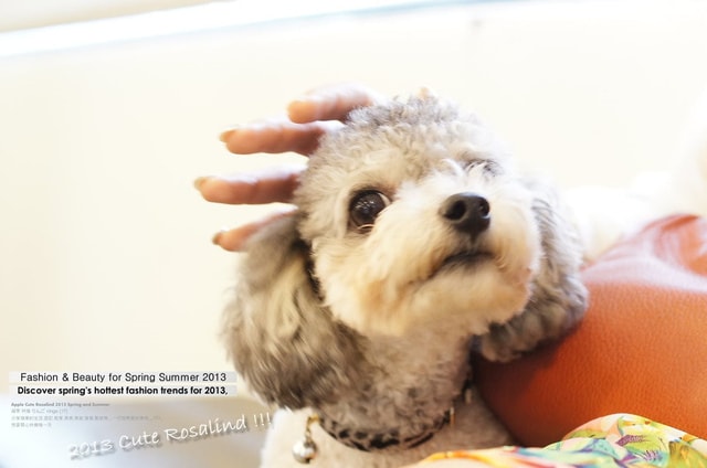 【髮型】終於去做了超有效的結構式護髮。附帶逼弟型男改造實錄❤ - 第9張圖 【髮型】終於去做了超有效的結構式護髮。附帶逼弟型男改造實錄❤