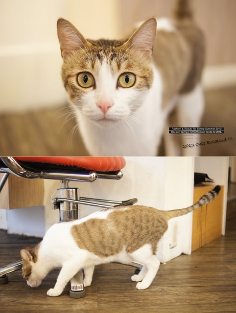 【髮型】終於去做了超有效的結構式護髮。附帶逼弟型男改造實錄❤ - 第10張圖 【髮型】終於去做了超有效的結構式護髮。附帶逼弟型男改造實錄❤