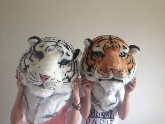 【札記】照片記錄日常點滴。七八月的蘋果哀鳳生活小記事❤ - 第44張圖 【札記】照片記錄日常點滴。七八月的蘋果哀鳳生活小記事❤