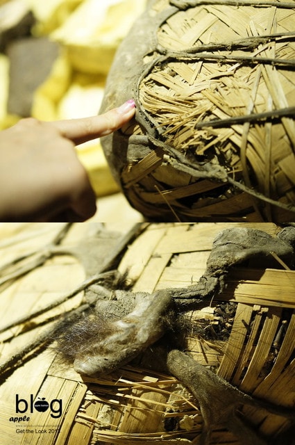 【品茗】透過簡單的一杯茶,體驗最簡單的幸福。KIGIVE❤ - 第19張圖 【品茗】透過簡單的一杯茶,體驗最簡單的幸福。KIGIVE❤