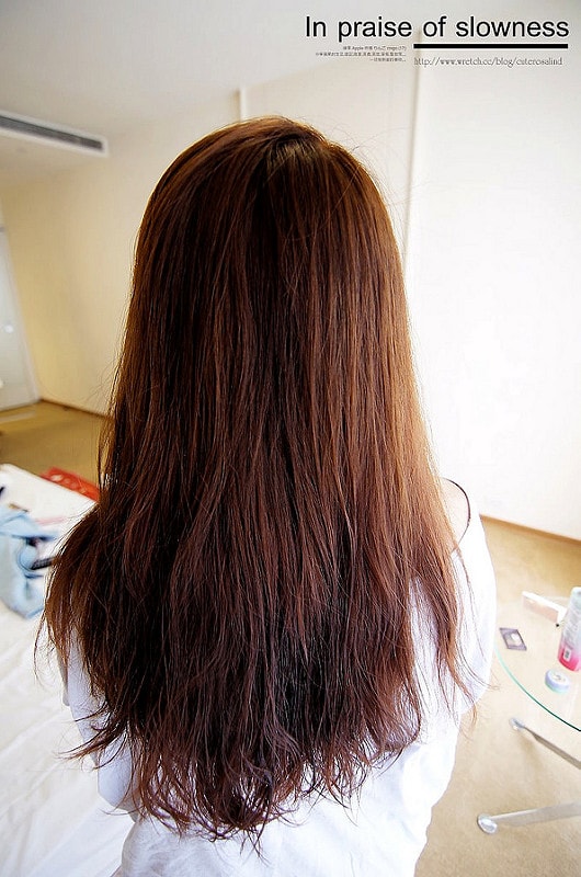 【髮妝】韓國必買。回頭率女神Elastine香水洗潤髮精❤ - 第41張圖 es (37)