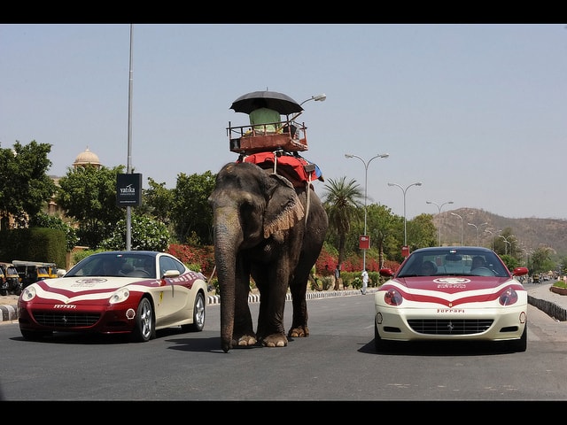 Ferrari Magic India Discovery