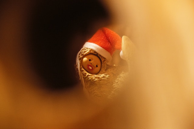 【逼先生專欄】最美麗的奇妙小生物,醜比頭專門店與相關新聞三則!!! - 第9張圖 DSC08002