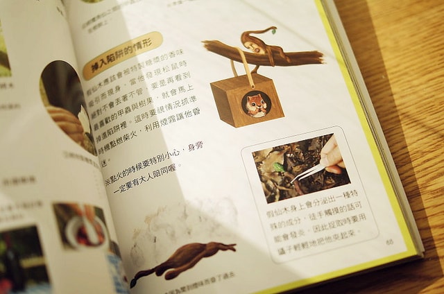 【逼先生專欄】最美麗的奇妙小生物,醜比頭專門店與相關新聞三則!!! - 第14張圖 DSC00801