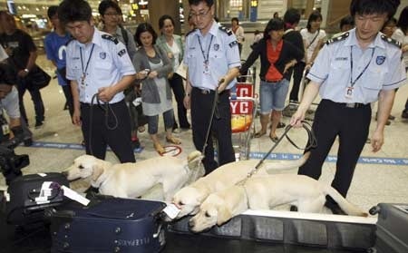【逼先生專欄】最美麗的奇妙小生物,醜比頭專門店與相關新聞三則!!! - 第21張圖 p13a