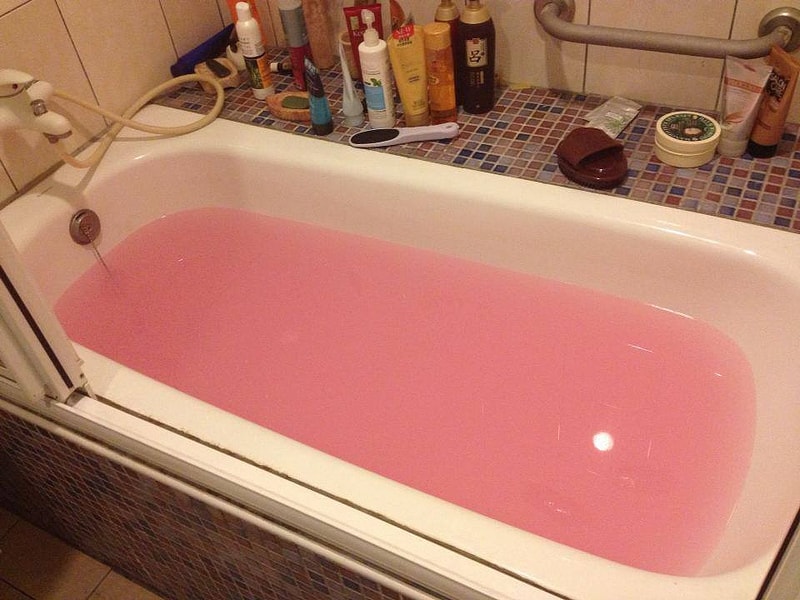 【婚禮】也是被問翻的。婚前如何保持體態以及維持身材篇❤ - 第51張圖 945077_546278505433498_1426242689_n