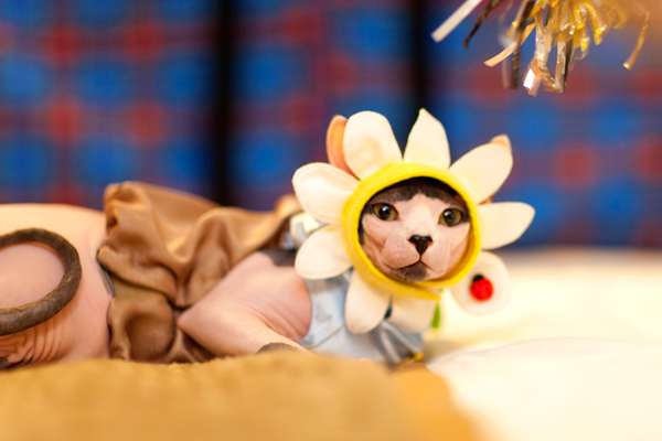 【逼先生專欄】《2014春夏流行趨勢》跟小逼一起掌握時尚潮流 - 第3張圖 01 (1)