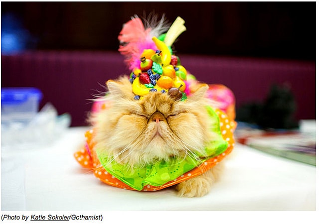 【逼先生專欄】《2014春夏流行趨勢》跟小逼一起掌握時尚潮流 - 第5張圖 01 (1)