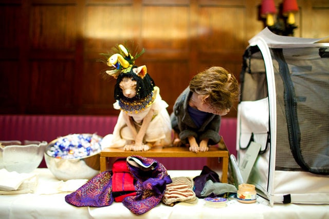 【逼先生專欄】《2014春夏流行趨勢》跟小逼一起掌握時尚潮流 - 第8張圖 Cat_Fashion_Show_(3)