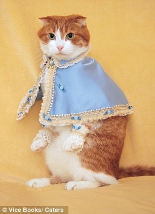 【逼先生專欄】《2014春夏流行趨勢》跟小逼一起掌握時尚潮流 - 第10張圖 tumblr_ly28oa3rk41r61y26o1_400