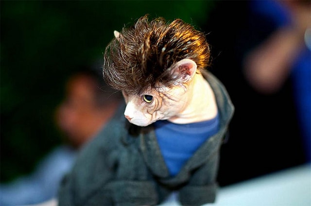 【逼先生專欄】《2014春夏流行趨勢》跟小逼一起掌握時尚潮流 - 第18張圖 642