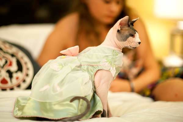 【逼先生專欄】《2014春夏流行趨勢》跟小逼一起掌握時尚潮流 - 第23張圖 163868_8_600