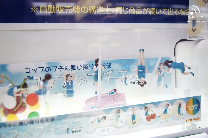 【東京行】DAY 3.秋葉原、銀座超好吃水果派、比內雞、餃子的王將 - 第17張圖 s (2)