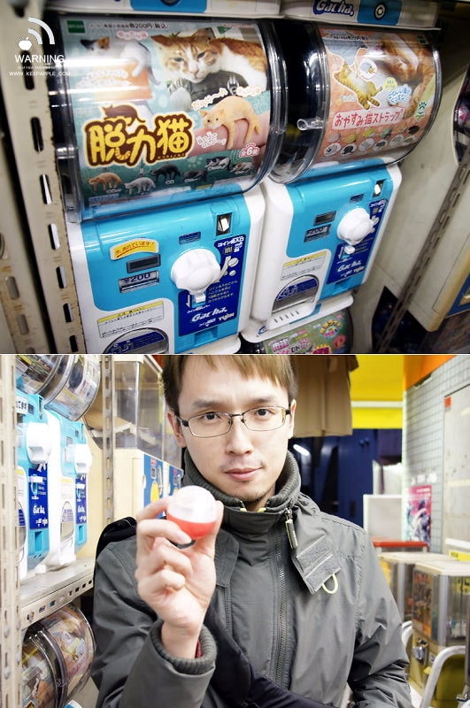 【東京行】DAY 3.秋葉原、銀座超好吃水果派、比內雞、餃子的王將 - 第47張圖 s (31)