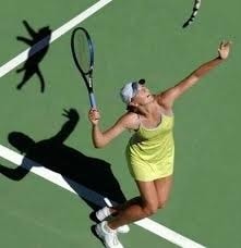 【逼先生專欄】《貓的冷知識》貓咪的世界真是太神奇了!!! - 第9張圖 07