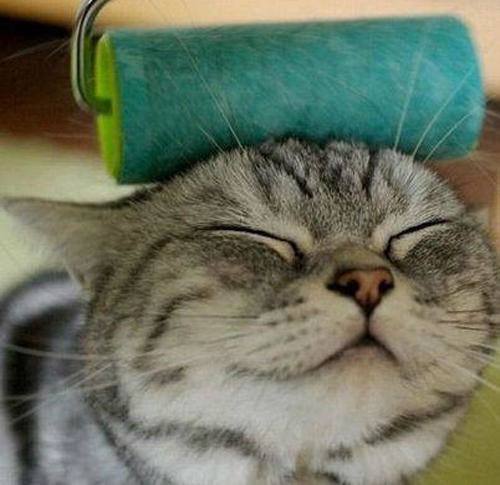 【逼先生專欄】《最好vs最差》英國研究的母親節禮物也是大學問!? - 第17張圖 b (2)