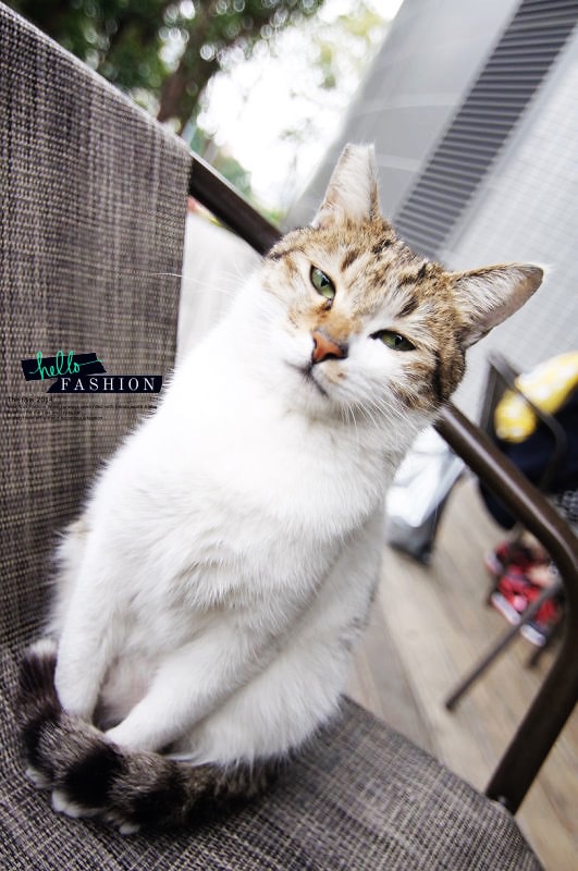 【穿搭】STAYREAL X SpongeBob。海綿寶寶與每個人心中的大小孩 - 第18張圖 DSC06028