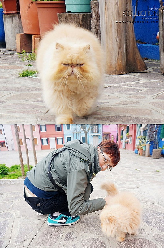 【國外遊記】現實中的夢幻童話世界。威尼斯布拉諾彩色島 - 第42張圖 DSC04564