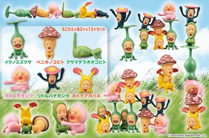 ﾓﾓｼﾞﾘつむつむ_案内