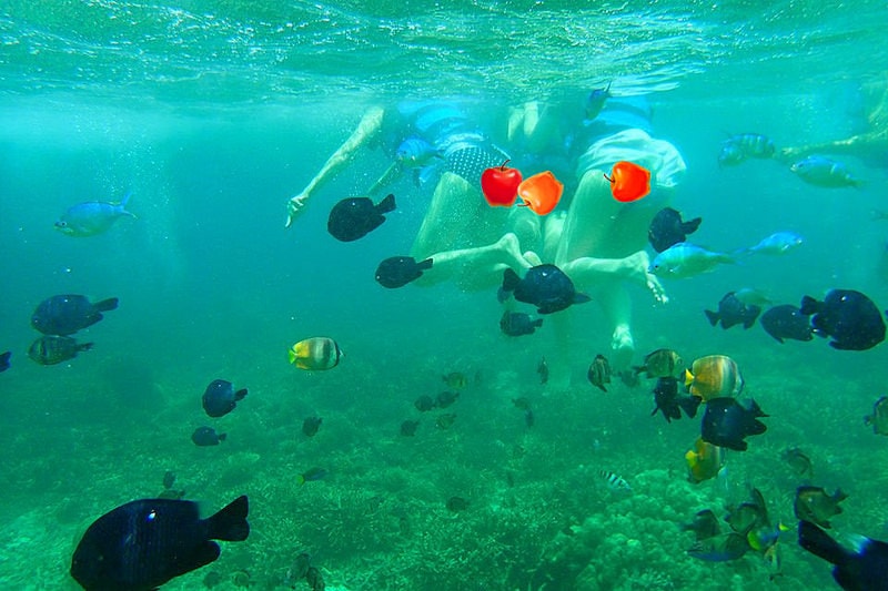 10668765_844245158921160_529562854_n