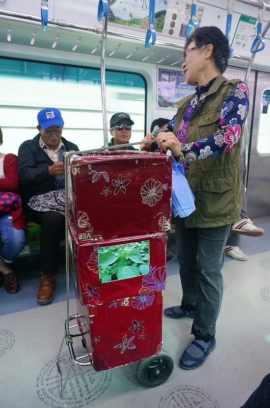 【逼先生專欄】《首爾自由行》Day02:南怡島、小法國村、春川明洞 - 第11張圖 DSC07439