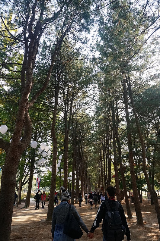 【逼先生專欄】《首爾自由行》Day02:南怡島、小法國村、春川明洞 - 第34張圖 DSC07513