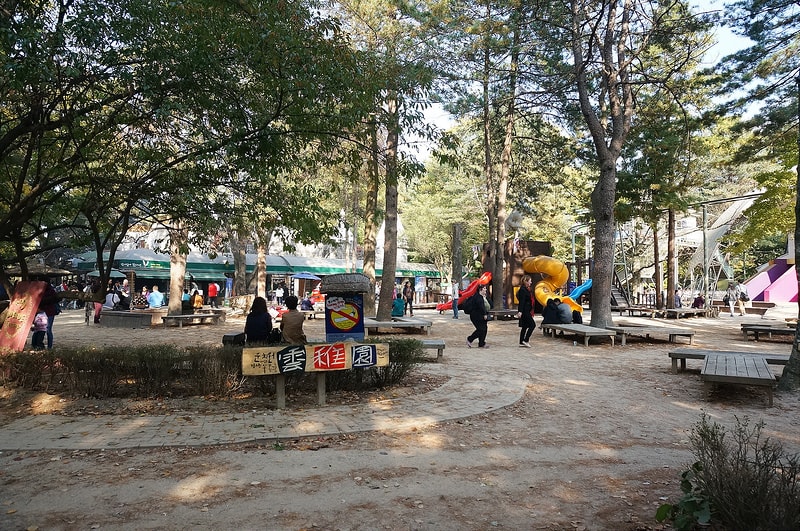 【逼先生專欄】《首爾自由行》Day02:南怡島、小法國村、春川明洞 - 第44張圖 DSC07539