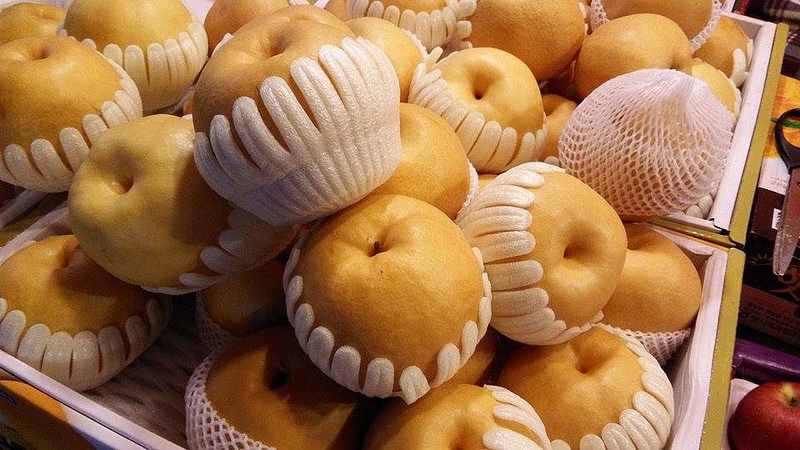 【逼先生專欄】《首爾自由行》Day02:南怡島、小法國村、春川明洞 - 第89張圖 DSC07673b