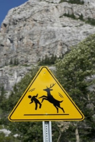 加拿大阿爾伯達省的山區