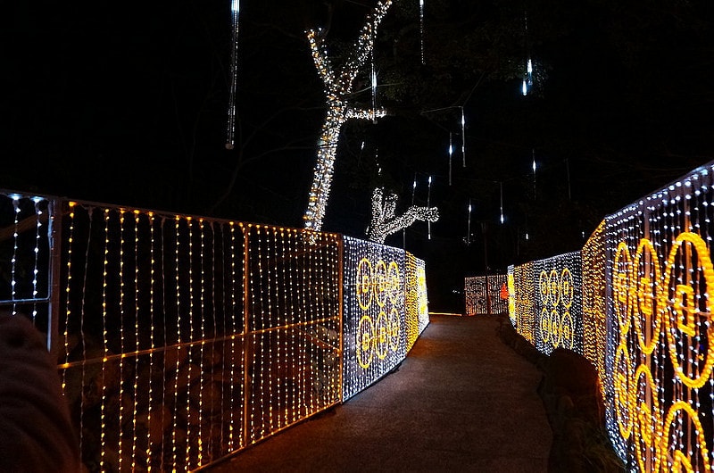 【逼先生專欄】《狂買狂吃大阪自由行》Day01:心齋橋、道頓堀、天王寺ILLUMINAGE!! - 第97張圖 osaka (57)