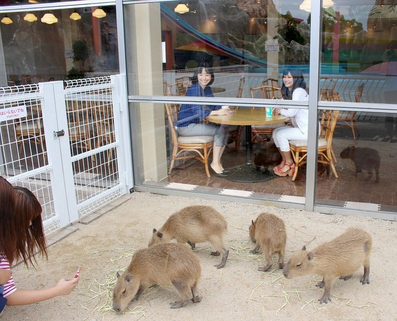 (www.spaceworld.co.jp)002