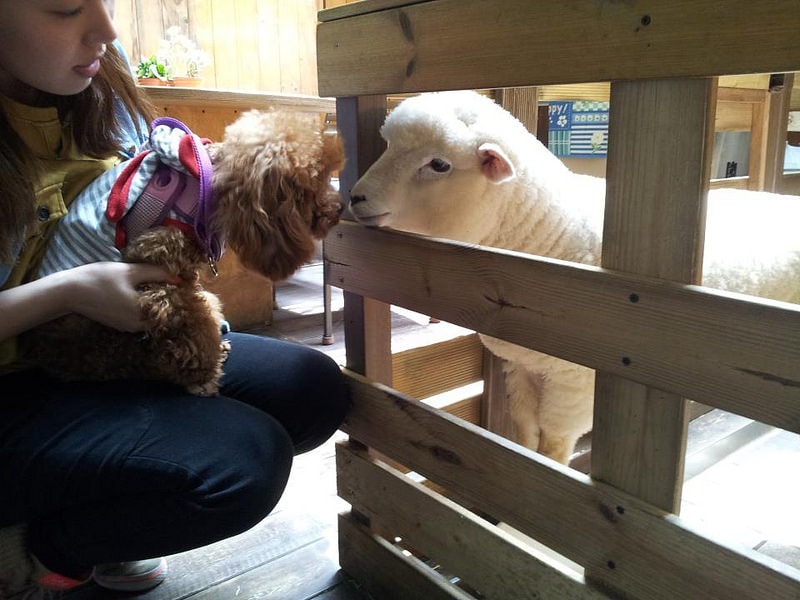 (www.facebook.com)TNcafe002