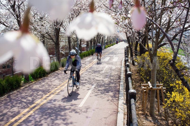 001(www.demotix.com)